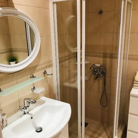 ヴィデヴィク * タリン