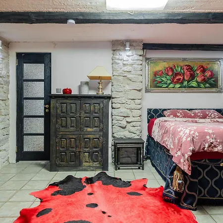 Videviku Apartmán Tallinn