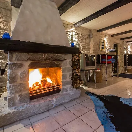 ヴィデヴィク * タリン