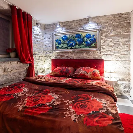 ヴィデヴィク *