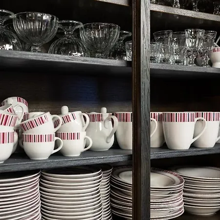 ヴィデヴィク * タリン