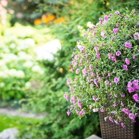 ヴィデヴィク アパート