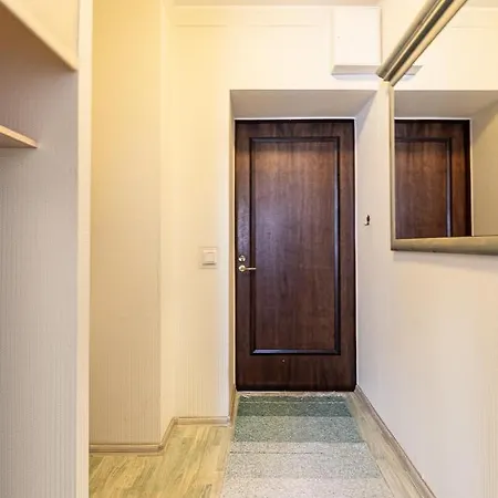 ヴィデヴィク * タリン