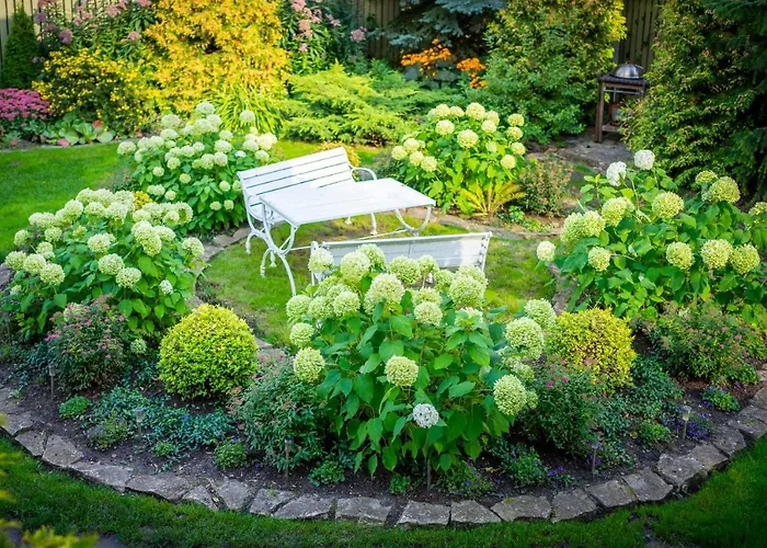 Videviku Διαμέρισμα *