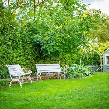 アパート ヴィデヴィク