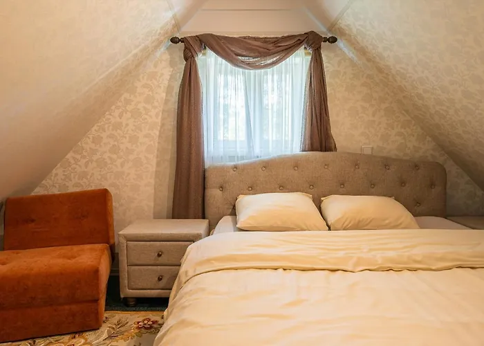 ヴィデヴィク *