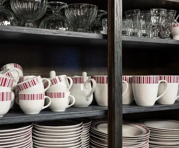 ヴィデヴィク * タリン