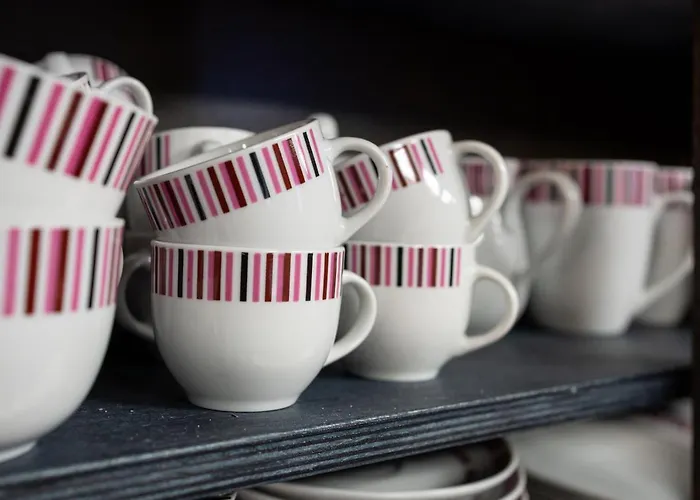 ヴィデヴィク タリン