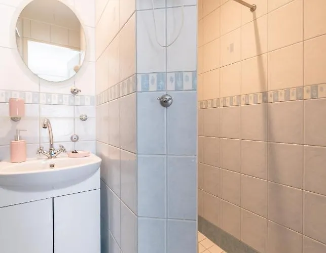 ヴィデヴィク *